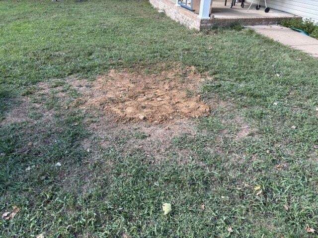 Clean yard after a completed job